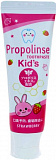 Зубная паста для детей PIERAS Propolinse Toothpaste Kid's Strawberry, с экстрактом прополиса и ксилитом, со вкусом клубники, 60г.