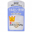 Увлажняющий и питательный крем Sana SOY MILK NIGHT CREAM (с изофлавонами сои) для дневного и ночного применения, 40 гр