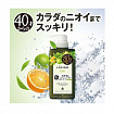 Лечебный дезодорант-гель для душа MANDOM Lucido Deodorant Nonmenthol Herbal Citrus без ментола, сменная упаковка, 380 мл