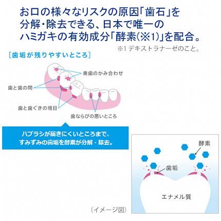 Зубная паста для чувствительных зубов Lion Clinica Pro Hyperesthesia Care Toothpaste, с энзимами, с мягким вкусом мяты, 95 г
