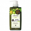 Лечебный мужской дезодорирующий гель для душа 40 + MANDOM Lucido Deodorant Body Wash Nonmenthol Herbal Citrus без ментола, с ароматом трав и цитрусов, 450 мл